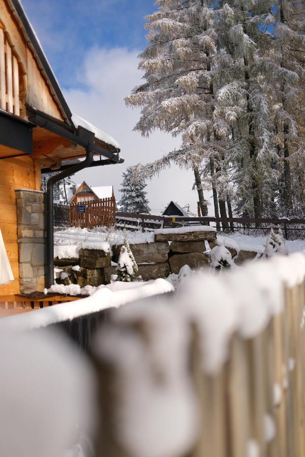 Pająkówka Apartament I Kościelisko Exterior foto